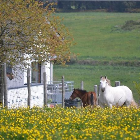 Gites & Tiny Houses Les Hauts De Toulvern Baden Bagian luar foto