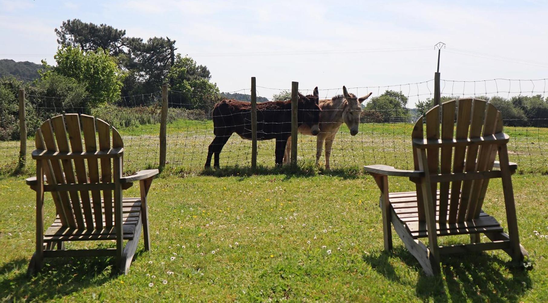 Gites & Tiny Houses Les Hauts De Toulvern Baden Ruang foto