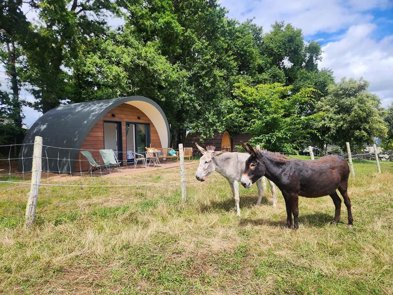 Gites & Tiny Houses Les Hauts De Toulvern Baden Ruang foto