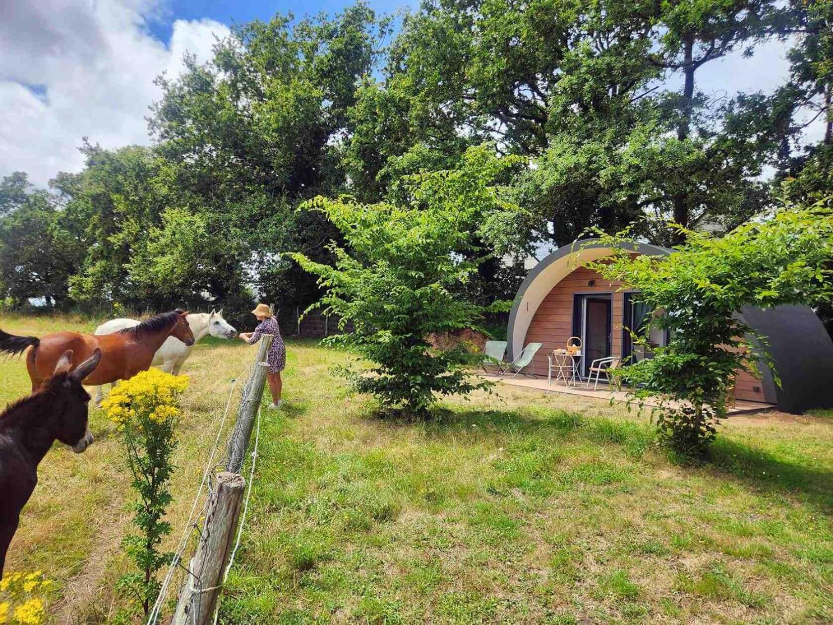 Gites & Tiny Houses Les Hauts De Toulvern Baden Ruang foto